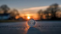 Silver coin standing on edge against dramatic sunset background, with silhouetted trees on horizon creating atmospheric financial concept for investment and wealth management.