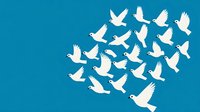 White doves flying in formation against vibrant blue background, creating dynamic movement and peaceful symbolism. Isolated design element for spiritual concepts.