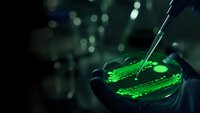Laboratory scientist in protective gloves conducting chemical experiment with green glowing liquid in petri dish using pipette for research analysis.