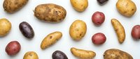 Assorted fresh potatoes in various colors and sizes scattered on white background, perfect for cooking and culinary designs.