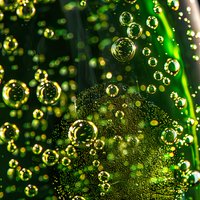 Transparent bubbles floating in green nature environment with water drops and bokeh lights creating magical atmospheric effect against dark background.