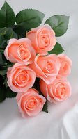 Bouquet of delicate peach roses with green leaves on white fabric background, suitable for wedding invitations, romantic occasions, and floral design.