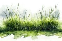 Fresh green grass and wild plants on watercolor background, natural meadow landscape with soft morning fog effect and gentle watercolor splashes.