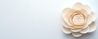 Elegant cream paper camellia flower on soft white background, handcrafted decorative element for creative projects and celebrations.