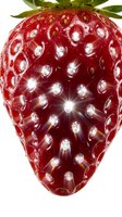 Fresh ripe strawberry with green leafy crown isolated on white background, showcasing glossy red fruit with detailed seeds and water droplets for food and nutrition design projects.
