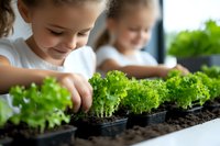 Caucasian girl smiling while planting lettuce seedlings in containers with soil. Educational gardening activity showing children learning about growing food and nature.