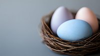Pastel colored Easter eggs in natural wicker nest on neutral background for spring holiday celebration and seasonal decoration projects.