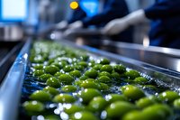 Fresh green olives on industrial washing line with water drops and blue reflections, food production process in manufacturing facility. Quality control sorting.