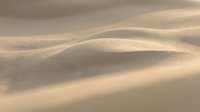 Smooth golden sand dunes with flowing curves and soft shadows creating natural desert landscape patterns for backgrounds and textures.