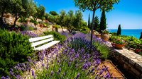 Serene Mediterranean garden with blooming lavender flowers, cypress trees, and white bench overlooking turquoise sea on sunny day for travel and lifestyle content.
