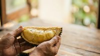 Mature hands holding a golden durian fruit segment outdoors, showcasing tropical fruit texture and natural daylight. Suitable for food, agriculture, and lifestyle content.