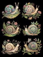 Decorative snails with ornamental spiral shells and botanical elements isolated on transparent background, ready for t-shirt design, clipart, stickers, sublimation and print-on-demand projects.
