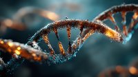 DNA double helix structure with glowing orange highlights on blue background for scientific research and biotechnology presentations.