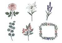 Isolated botanical illustrations featuring rose, lily, lavender, eucalyptus, berry plant and floral wreath. Perfect for wedding invitations, greeting cards, packaging design and decorative projects.