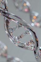 Crystal clear DNA helix structure with rainbow light reflections on gray background, representing genetic science and biotechnology research.