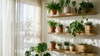 Bright modern interior with floating wooden shelves displaying various green houseplants in terracotta and wicker pots near large window with natural light.