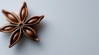 Star anise pod on light gray background, macro food photography showing detailed texture and natural brown color of dried spice, isolated with soft shadow.