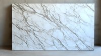 White marble slab with elegant gray veining pattern creates luxurious natural stone texture for interior design, architecture and premium surfaces.