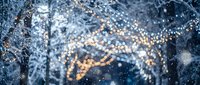 Magical winter evening with glowing string lights creating warm bokeh against snowy tree branches during gentle snowfall for holiday decorations.