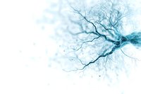 Artistic visualization of neural network in soft blue tones showing branching dendrites and synaptic connections against white background, representing brain science and AI.