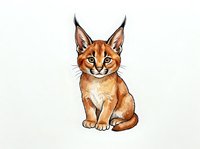 Caracal kitten with pointed ears and golden-brown fur sitting on white background, isolated and ready for design use on apparel and merchandise.