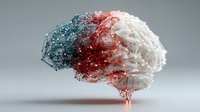 Digital brain model with network connections showing neural pathways in blue, red and white colors for medical education and neuroscience research.