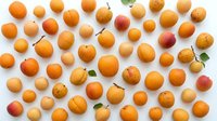 Fresh organic apricots scattered on white background, ripe summer stone fruits with natural variations in color and size for healthy eating concepts.