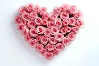Pink roses arranged in heart shape on white background, romantic floral composition for wedding, Valentine's Day and anniversary celebrations.