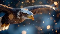 Majestic bald eagle in flight against dark blue background with golden bokeh lights, dramatic close-up portrait showing fierce expression and detailed feathers.