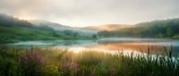 Misty sunrise over tranquil lake with purple wildflowers and reeds in foreground, creating peaceful natural landscape for meditation and wellness content.