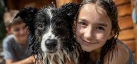 Young girl with wet hair smiling while hugging her soaked black and white border collie dog after bath time, showing bond between child and pet.