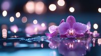 Purple orchid flower floating on water surface with bokeh lights creating magical atmosphere, reflection in dark water with pink and blue tones.