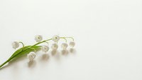 Delicate lily of the valley flowers with white bell-shaped blooms and green leaves on soft neutral background for spring wedding invitations.