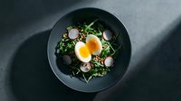 Gourmet salad bowl with fried egg, microgreens, and radish slices on dark plate, overhead view for food styling and restaurant menu design.