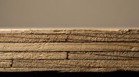 Weathered wooden plank with natural grain texture and rustic surface showing age and wear patterns against neutral background for carpentry projects.