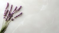 Fresh lavender stems with purple blooms arranged against light gray marble background, minimalist botanical composition with copy space for text overlay.