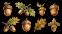 Acorn and oak leaf collection in golden brown tones, isolated on transparent background. Ready for t-shirt design, clipart, stickers, sublimation, and print-on-demand projects.