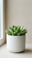 Potted succulent plant with vibrant green leaves in white ceramic container on windowsill, ideal for home decor and interior design projects.