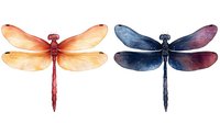 Watercolor dragonflies in orange and navy blue with delicate wing details and gradient coloring, isolated on white background for nature-inspired designs.