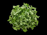 Chopped fresh green spinach leaves pile, isolated on transparent background, ready for food design, stickers, print on demand, menus, and healthy lifestyle clipart.