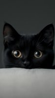Close-up portrait of black cat with bright golden eyes peering over white surface against dark background, creating mysterious and captivating mood.