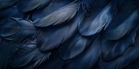 Dark navy blue feathers in close-up macro photography create abstract natural pattern with soft texture and mysterious moody atmosphere.