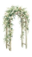 Wooden garden arch adorned with cascading white flowers and lush green foliage, isolated on white background for wedding ceremonies, event design, and landscape illustrations.