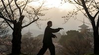 Silhouette of man in business suit practicing tai chi among bare trees with Asian pagoda temples visible in misty background at dawn.
