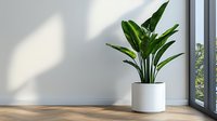 Bird of paradise plant with large green leaves in modern white ceramic pot near window with natural light and shadow on wooden floor, minimalist decor.