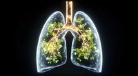Glowing human lungs with green plants growing inside against black background, representing health, nature and breathing concept for medical design.