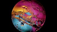 Vibrant circular abstract composition with oil and water mixture creating colorful magenta, gold, and turquoise bubbles against dark background. Macro photography art.
