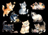 Cute cats collection isolated on transparent background, ready for t-shirt design, stickers, clipart, print-on-demand products and sublimation projects.