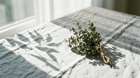 Fresh eucalyptus branch with green leaves casting natural shadows on white linen bedding in bright sunlight for spa and wellness concepts.
