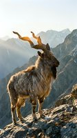 Majestic alpine ibex with curved horns standing on rocky mountain cliff during golden hour sunrise with dramatic peaks in background for wildlife photography.